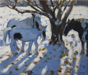 Ponis píos en invierno, 2012